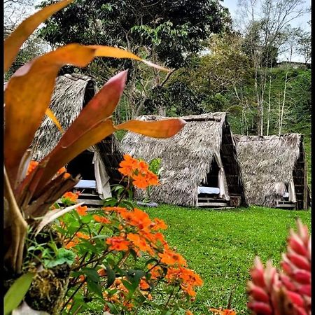 Bed and Breakfast Rancho Porvenir Mocoa Exterior foto